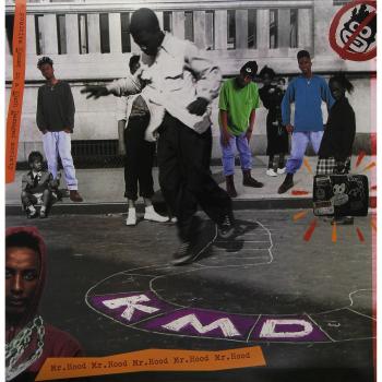 Vinilo Mr. Hood con Capucha Ajustable y Diseño Moderno