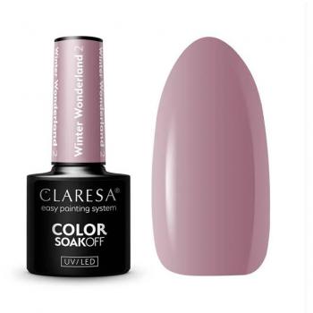 Esmalte semipermanente Soak off Winter Wonderland - 02 (Pack de 2)