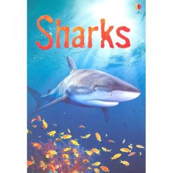 Sharks: Information for Young Readers - Level 1