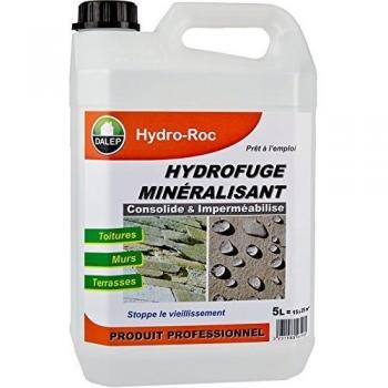 Repelente de Agua Mineralizante Hydro-Roc DALEP 5L