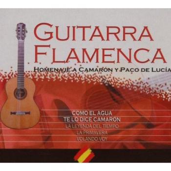 Guitarra Flamenca