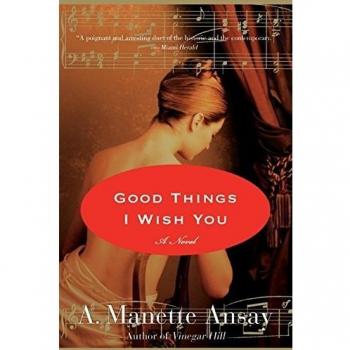 Good Things I Wish You: A Novel by A. Manette Ansay - Contemporary Fiction with Emotional Depth