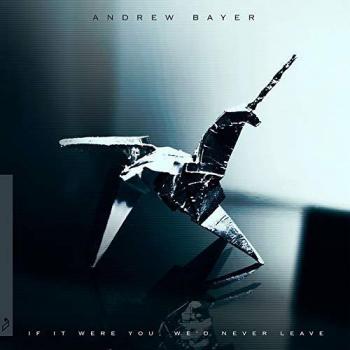 Andrew Bayer If It Were You We'd Never Leave VINYL