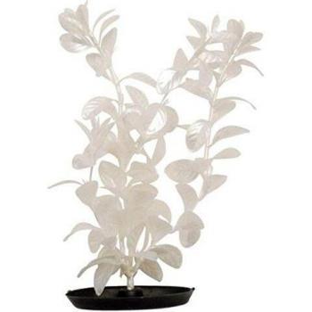 MARINA PEARLSCAPER PEQ. RED LUDWIGIA 12,5 cm