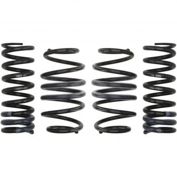 Kit de suspensión EIBACH Pro-Kit E10-28-010-01-22