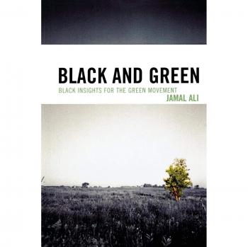 Black and Green: Insights for the Sustainable Movement