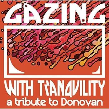 Gazing with tranquility vinilo