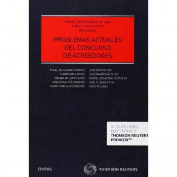 Problemas actuales del concurso de acreedores