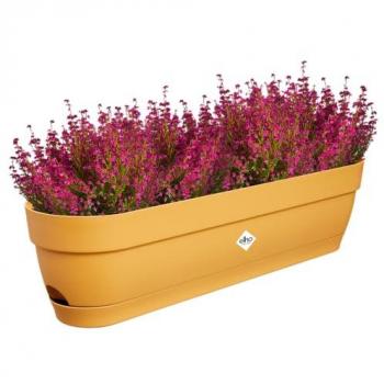 Jardinera Rectangular de Plástico Elho 70 cm - Fácil Cuidado y Diseño Moderno