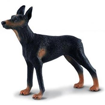 Collecta - Figura de Juguete Dobermann a Escala, 9x3x10 cm, Adecuado para Niños y Niñas de +3 Años (Modelo: 90188086)