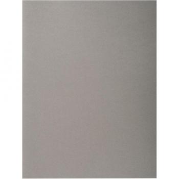 Subcarpetas Rock's Exacompta 217109E - 210 g/m2 Gris