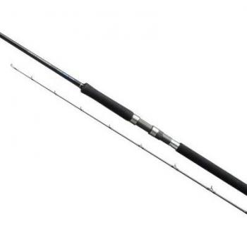 Caña de Jigging Shimano Salty Advance Spinning 3,05m 10'0 60g JIG80g 2pc