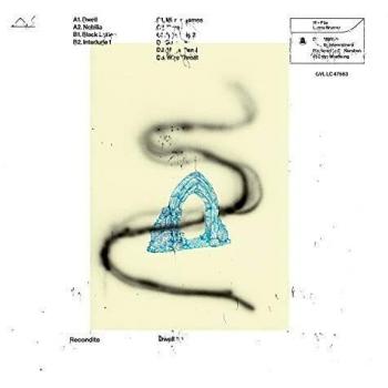 Dwell [Vinilo]