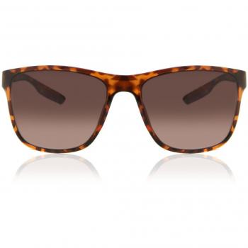 Bloc Cruise 2 F853 Gafas de Sol para Hombre Tortoiseshell Careyshell 55