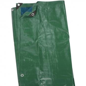 Toldo 3x6 m. 120gr KRT660203