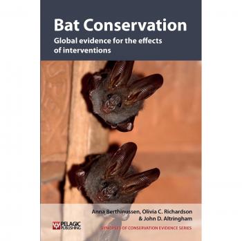 Conservación de Murciélagos: Evidencia Global sobre los Efectos de las Intervenciones (Sinopsis de la Evidencia en Conservación, Volumen 5)