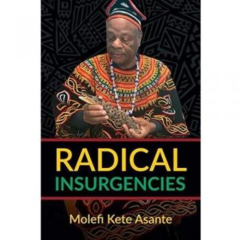 Radical Insurgencies: Theoretical Perspectives and Case Studies