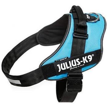 JULIUS-K9 16IDC Power Harness