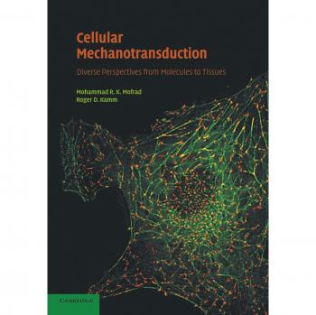 Mecanotransducción Celular: Perspectivas Diversas desde Moléculas hasta Tejidos - Edición de Cambridge