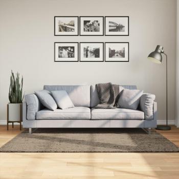 Alfombra pelo largo aspecto brillante vidaXL 120x170 cm Color Antracita, Beige, Crema y más para Sala de Estar, Dormitorio, Habitación y Salón
