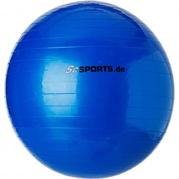 ScSPORTS 1220036 - Set de aparatos para Fitness