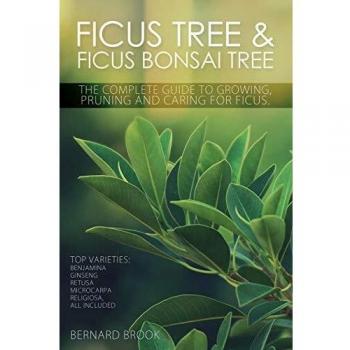 Ficus Tree and Ficus Bonsai Tree. The Complete Guide to Growing, Pruning and Caring for Ficus. Top Varieties: Benjamina, Ginseng, Retusa, Microcarpa, Religiosa all included.