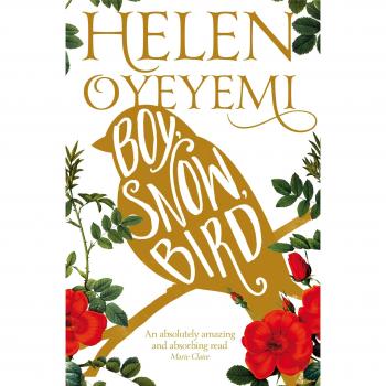 Chico, Nieve, Pájaro - Novela de Helen Oyeyemi