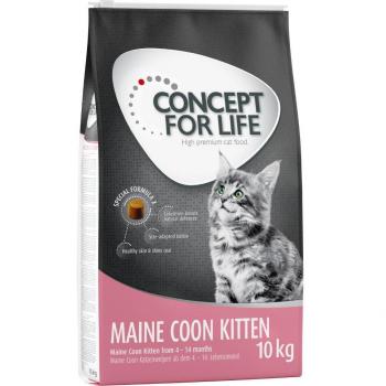 Concept for Life Maine Coon Kitten - Pack económico: 2 x 10 kg - Receta mejorada