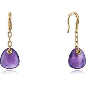 Pendientes Viceroy Elegant 13172E100-47 Amatista