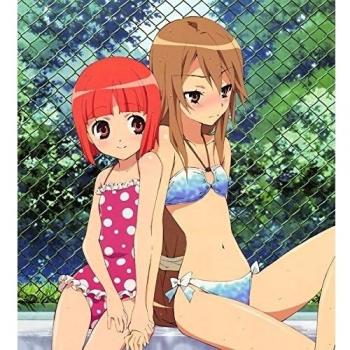 24x26 inch Ookami-san to Shichinin no Nakama-tachi Silk Poster Seda Cartel CGS6-4CC