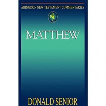 Matthew New Testament Commentary (Abingdon Press, Paperback)