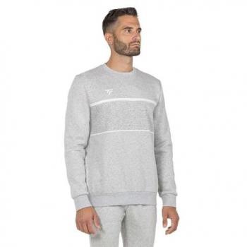 Sudadera Tecnifibre Team Sweatshirt L Plata