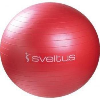 65 cm Red Anti-Burst Swiss Gym Ball