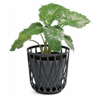 Cesta multifuncional 35L Prosperplast Uniqubo de plástico en color piedra gris
