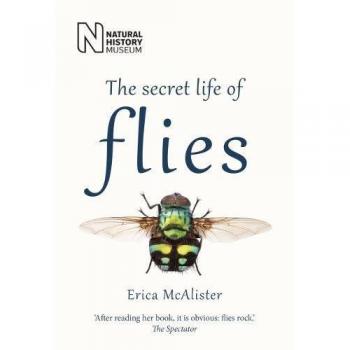 The Secret Life of Flies