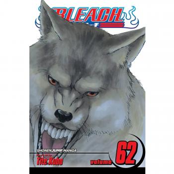 Bleach Volume 62: Heart of Wolf