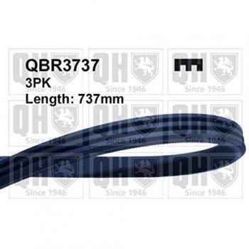 Correa Poli V Trapecial Quinton Hazell QBR3737 para Renault Twingo 1 y Clio 2