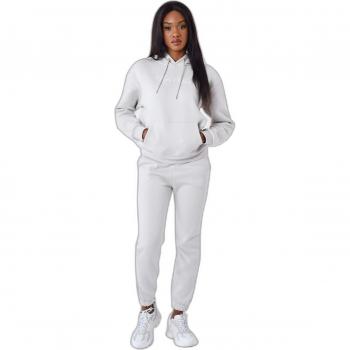 Project X Paris Women's Signature Hoodie - Greige - Size L