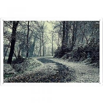 Metal cartel Cartel de chapa Hojalata sesión #24236 Path Through The Snowy Forest Retro Vintage Pared Decoración by hamgaacaan