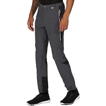 Regatta Men's Water-Repellent Isoflex Mountain III Hiking Trousers - Seal Grey/Black, Size: 36 R