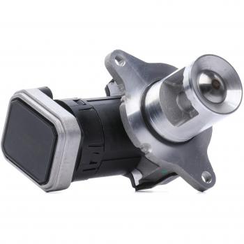 Válvula EGR PIERBURG 7.24809.48.0, tipo: válvula de recirculación de gases de escape, características: compatible con varios modelos de vehículos, diseño optimizado para un rendimiento eficiente, fabric