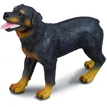 Collecta - Figura de Rottweiler a Escala, Juguete Educativo para Niños y Niñas, 7x3x9.5 cm, +3 Años (Modelo 90188189)
