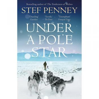 Bajo un Polo Estrella - Novela de aventuras y exploración en el Ártico, escrita por una autora contemporánea, que combina elementos de ficción histórica con temas de supervivencia y descubrimiento