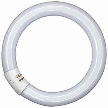 OSRAM Tubo fluorescente Lumilux circular L23W/840, 32 vatios, zócalo G10Q, blanco frío/4000K