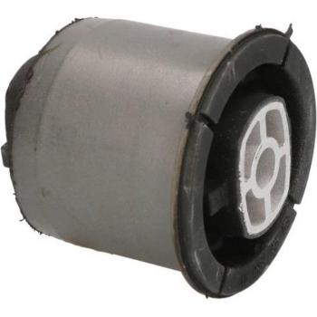 Cojinete de suspensión para viga del eje REINHOCH RH20-2008