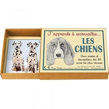 Marcvidal 477 I Learn to Recognize Dogs Educational Toy