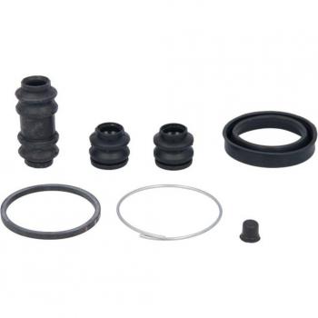 Kit de reparación de pinza de freno AUTOFREN SEINSA D4-309 Derecha