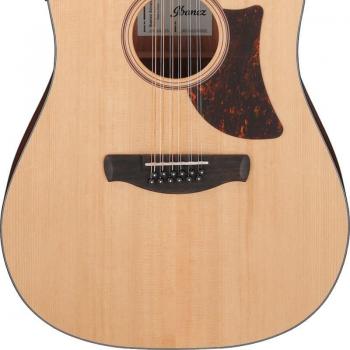 Ibanez AAD1012E-OPN 12-String Acoustic Electric Guitar Natural Finish