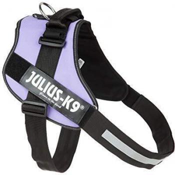 JULIUS-K9 16IDC Power Harness