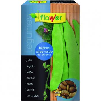 Semillas de judía en caja Flower